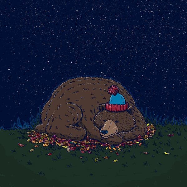 The 37th Parallel | Nick Volkert A sleepy bear hunkers down for the Winter.