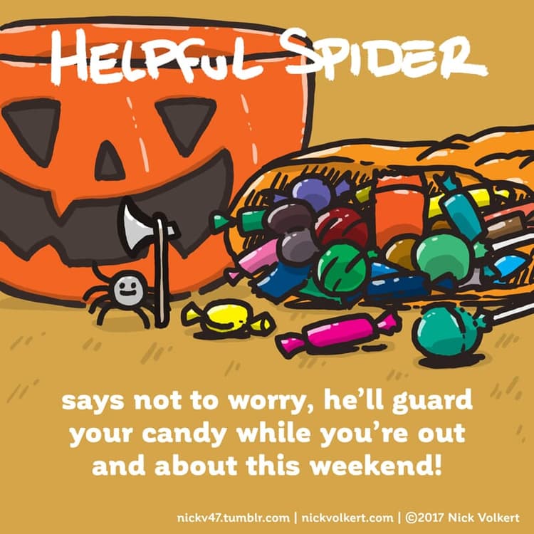 Candy guard | Nick Volkert Helpful Spider protects some Halloween candy.