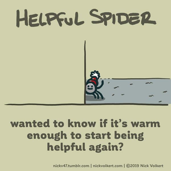 Just wanting to be helpful | Nick Volkert Helpful Spider waves from behind a wall.