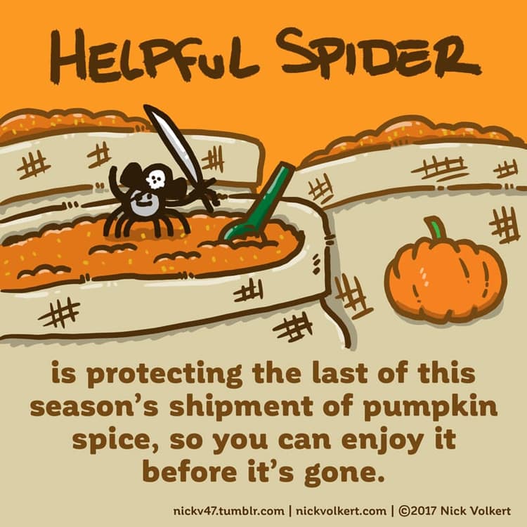 Protect the spice! | Nick Volkert Helpful Spider guards bags of pumpking spice.
