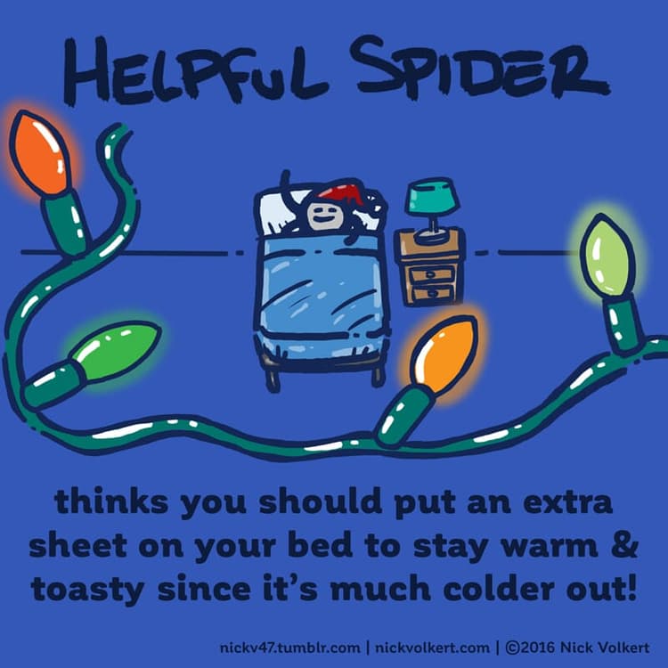 Cozy | Nick Volkert Helpful Spider is going to sleep with Christmas lights in the foreground.
