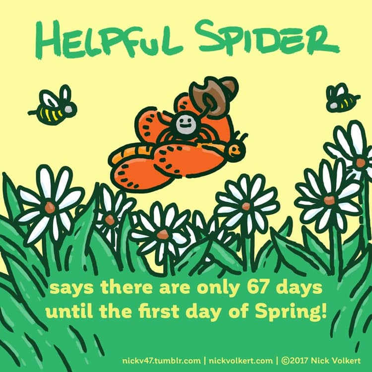 Spring | Nick Volkert Helpful Spider is riding a butterfly and waving a cowboy hat.