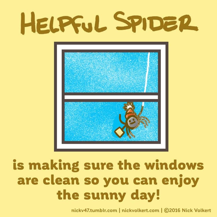 Let the sun shine in! | Nick Volkert Helpful Spider is cleaning a dirty window on a sunny day.