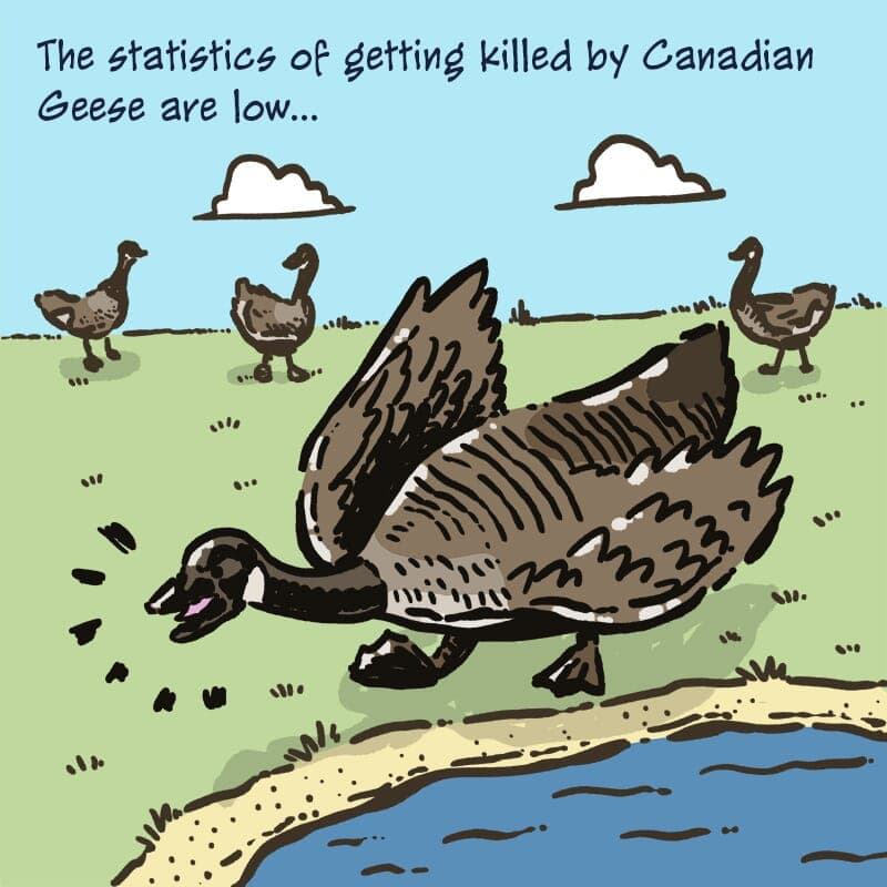 Canadian Geese - Part 1 | Monday Comic | Nick Volkert Canadian geese aren't very likely to kill you, but they just may be able to, as this Monday comic suggests. - Part 1