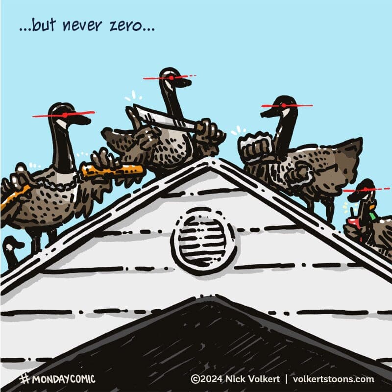 Canadian Geese - Part 2 | Monday Comic | Nick Volkert Canadian geese aren't very likely to kill you, but they just may be able to, as this Monday comic suggests. - Part 2