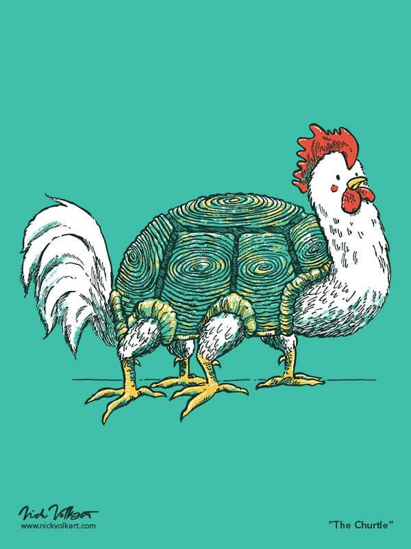 The Churtle | Nick Volkert A chicken and turtle have merged to the new creature The Churtle.