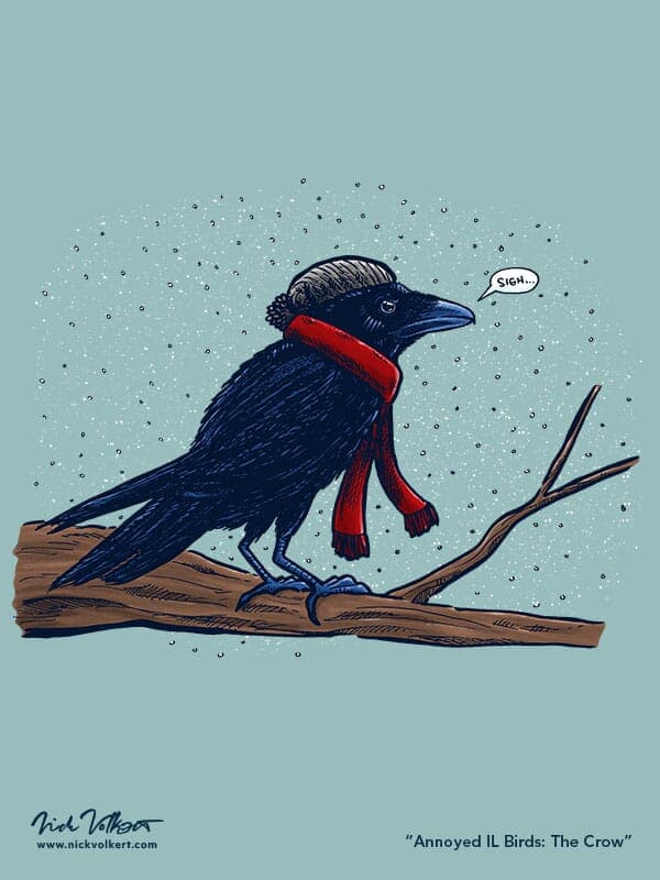 Annoyed IL Birds: The Crow | Nick Volkert A crow perched on a brance, wearing a stocking cap and scarf, really annoyed by the snow.