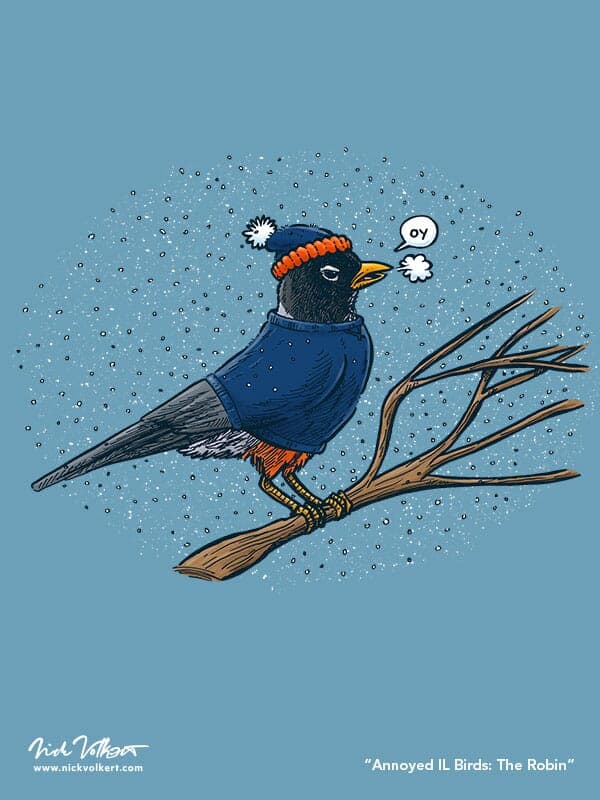 Annoyed IL Birds: The Robin | Nick Volkert An annoyed robin perched on a branch while is snows around him, wearing a stocking cap and crewneck.