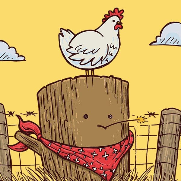 Farm Log | Nick Volkert A log basks in the sun with donning a bandanna and a small chicken roots on its head.