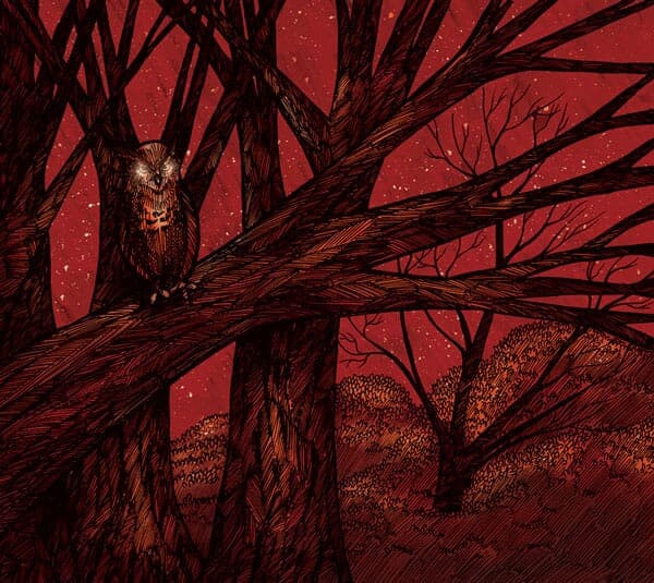 Inside Right Cover | For Our Hero A owl with glowing eyes for the inside right cover art of For Our Hero's 'Afterglow' EP