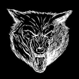 Esther Single Art | Nick Volkert Album Art of Esther's single. Features a fiece wolf on a back background.