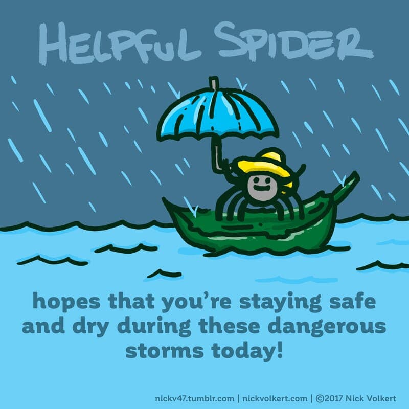 Storms - Part 1 | Helpful Spider | Nick Volkert Helpful Spider is riding a leaf on water during a storm. - Part 1