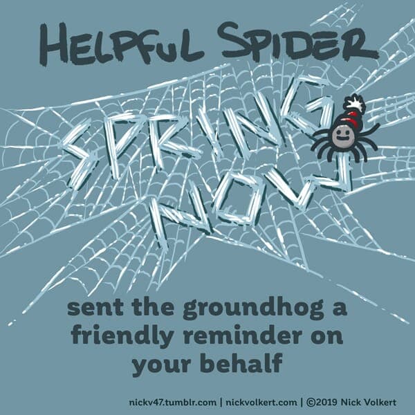 Groundhog hint dropping - Part 1 | Helpful Spider | Nick Volkert Helpful Spider weaves a web that says 'spring now'. - Part 1