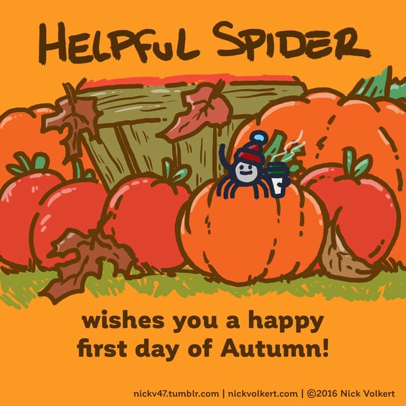 First Day of Autumn - Part 1 | Helpful Spider | Nick Volkert Helpful Spider is on a pumpkin with a coffee! - Part 1