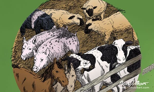 Historic Wagner Farms | Animal Breakout Detail Detail of animals of Historic Wagner Farms