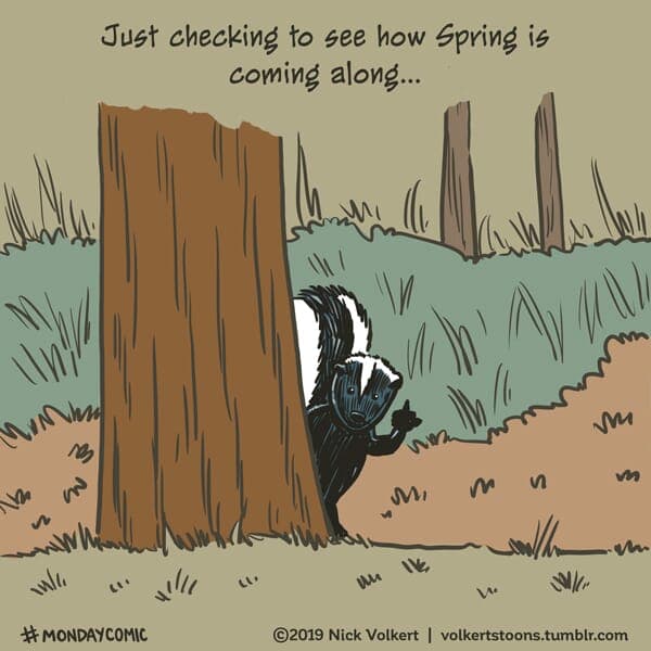 Signs of Spring - Part 1 | Monday Comic | Nick Volkert A skunk gives the viewer the finger. - Part 1