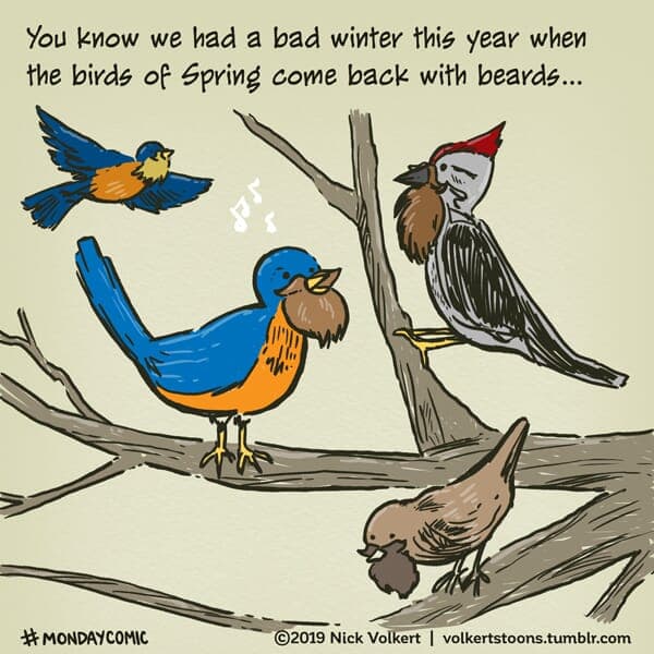 Bird Beards - Part 1 | Monday Comic | Nick Volkert Beards with beards after a harsh winter. - Part 1