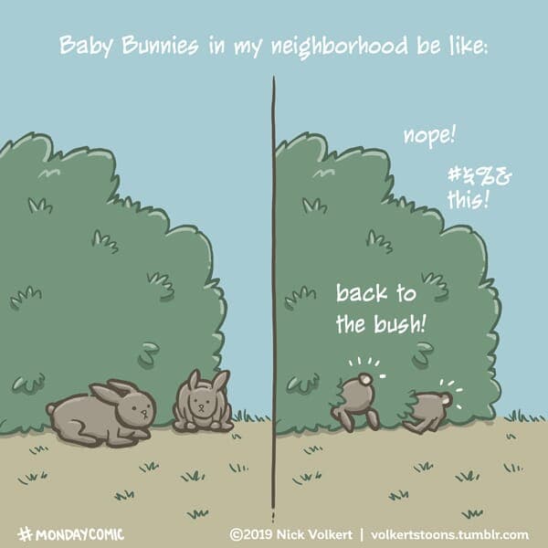 Baby Bunnies - Part 1 | Monday Comic | Nick Volkert Bunnies go hide in a bush to stay warm during cold weather. - Part 1