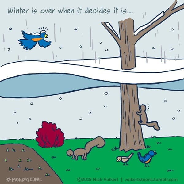 Winter's Las Hoorah - Part 1 | Monday Comic | Nick Volkert A large clump of snow falls from the sky. - Part 1