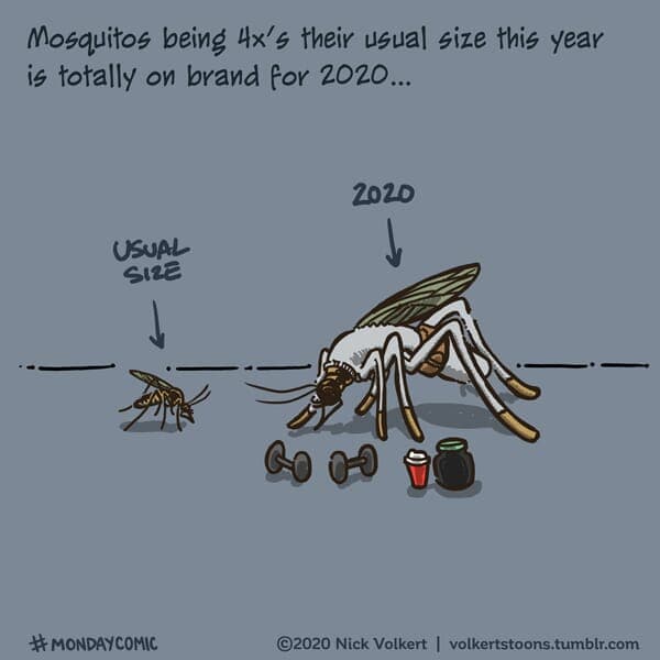 Mosquitos - Part 1 | Monday Comic | Nick Volkert A mosquito from 2020 against a mosquito any other year. - Part 1
