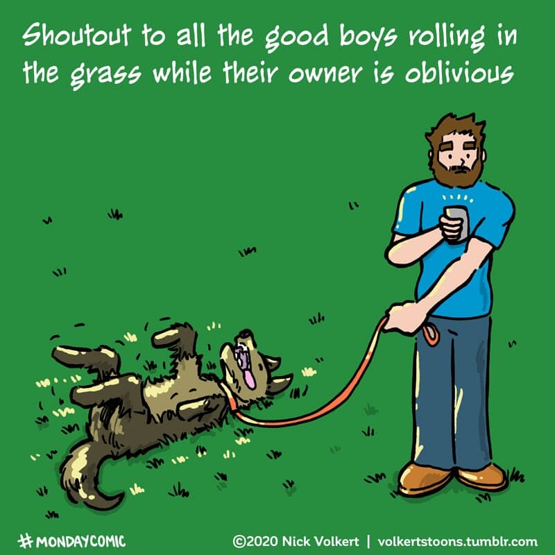 Dogs - Part 1 | Monday Comic | Nick Volkert A dog rolls in the grass while his owner is oblivious - Part 1