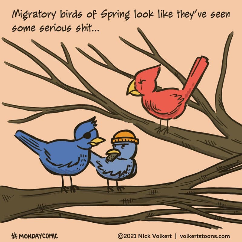 Tough Migratory Birds - Part 1 | Monday Comic | Nick Volkert A group of tough looking birds congregate in a tree. - Part 1