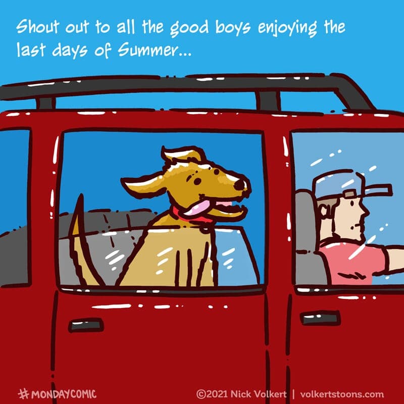 Dog in a car - Part 1 | Monday Comic | Nick Volkert A dog puts its head out of the window during a car ride. - Part 1