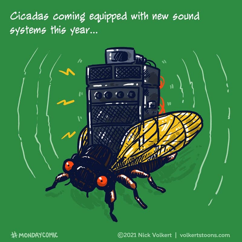 Cicadas - Part 1 | Monday Comic | Nick Volkert A cicada blasting a full sound system. - Part 1