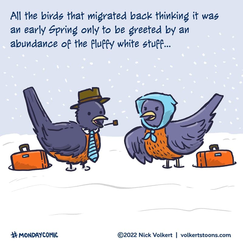 The Birds are Back - Part 1 | Monday Comic | Nick Volkert An old bird couple bickers over snow being on the ground after traveling back for the Spring. - Part 1