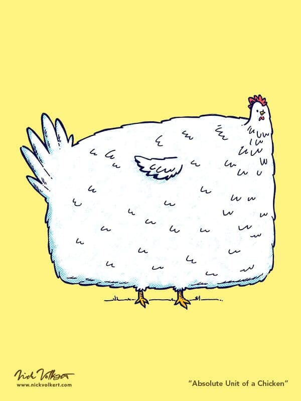 Absolute Unit of a Chicken | Nick Volkert A stout, slightly misshapen chicken standing in its space, and it's quite large