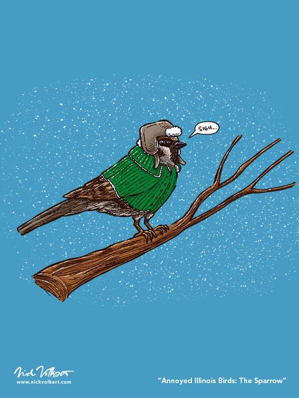 Annoyed IL Birds: The Sparrow | Nick Volkert An annoyed sparrow perched on a branch in the Midwest, surrounded by snow.