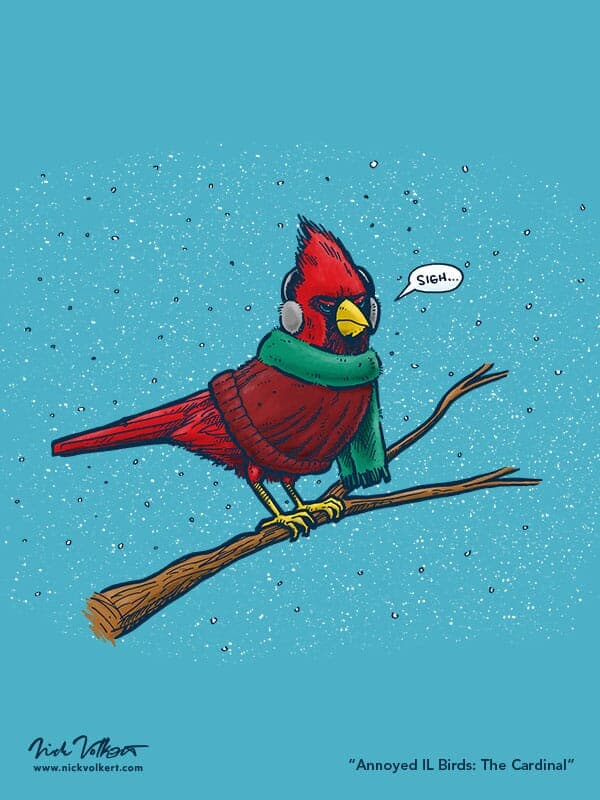 Annoyed IL Birds: The Cardinal | Nick Volkert An annoyed male cardinal wearing ear muff, a sweater and a scarf, while perched on a branch surrounded by snow.