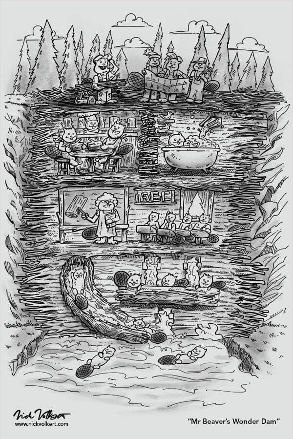 Mr Beaver's Nature Dam | Nick Volkert A slice of life inside of a beaver dam.