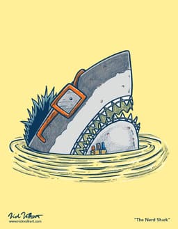 The Nerd Shark | Nick Volkert A nerdy shark pops up out of the water.