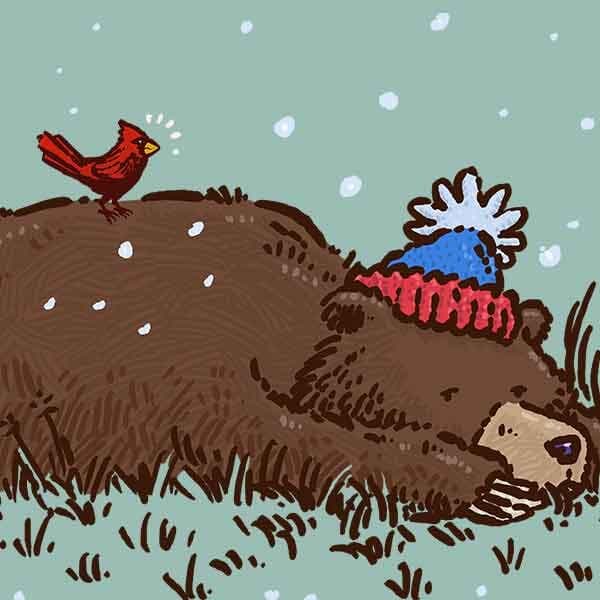 Wore out Novembear | Nick Volkert A grizzly bear is all tuckered out in a patch of grass while a red cardinal is perched on its back.