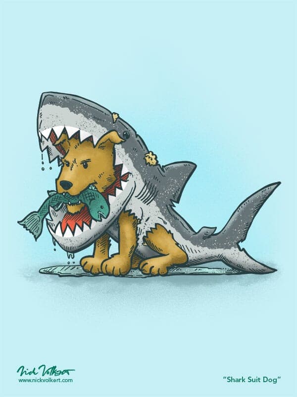 Shark Suit Dog | Nick Volkert A small dog wearing a wet shark costume catches a fish.
