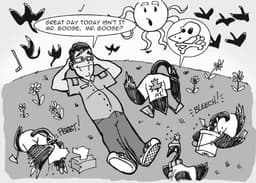 CanadianGeese | Nick Volkert A man enjoys time in the park and sick Canadian Geese fall from the sky from symptoms of a bird flu.